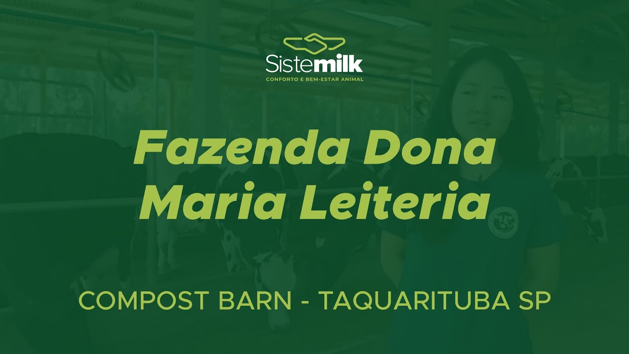 Fazenda Dona Maria Leiteria - CASE SE SUCESSO NA PECUÁRIA LEITEIRA - COMPOST BARN - TAQUARITUBA SP