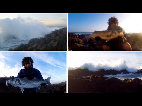 Lure Fishing For Big Sea Bass In Big Winter Seas - 12ft Samson Longcast Spinning Rod