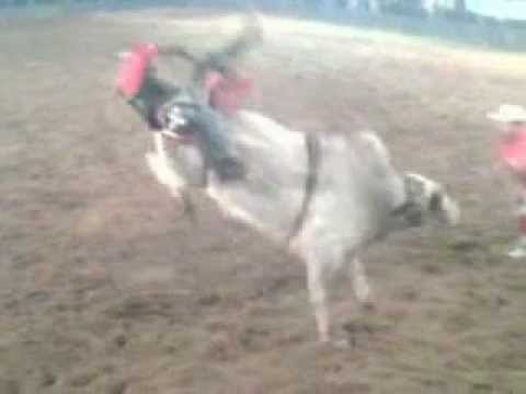 Doguinha vs farapo cia fb