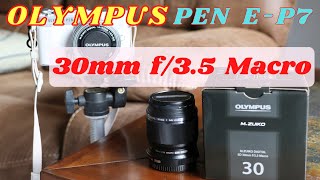 OLYMPUS PEN E-P7 マクロレンズ購入 【M.ZUIKO DIGITAL ED 30mm F3.5 Macro】　KK Feel-good Vlog #56