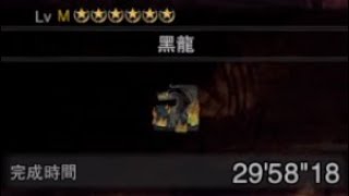 [MHWI] 黑龍弓solo初通雜談