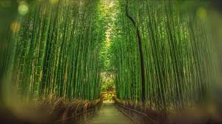 Download lagu Suasana Hutan Bambu - suara bambu tertiup angin, kicauan burung. mp3