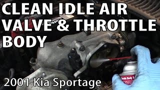 Cleaning an Idle Air Control Valve and Throttle Body (Kia Sportage) DIY