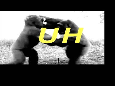 André Jensen, Martin Massiv & TOVANSKÏ - Neandertaler