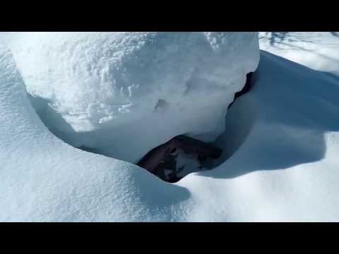 fuoripista Dos De la Pesa - Marilleva 1400