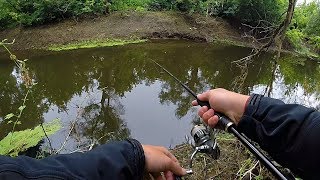 Ловли щуки на малых реках