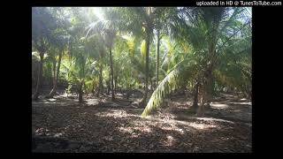 Kali Uchis - Body Language (Intro)