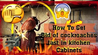How To Get Rid of cockroaches fast in kitchen cabinets