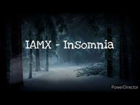 IAMX Insomnia - Lyrics
