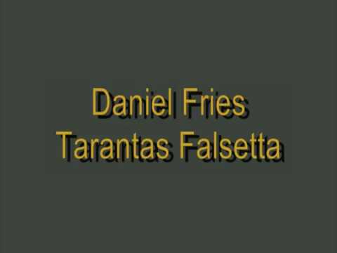 Daniel Fries - Tarantas Falsetta (spanish guitar)