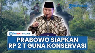 Prabowo Siapkan Rp 2 Triliun untuk Way Kambas, Konservasi Satwa Langka hingga Reforestasi Dipercepat
