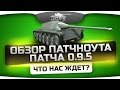 Обзор патчноута обновления 0.9.5. Что нас ждет в следующем патче? 