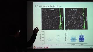 Max Gong - MMB Lab Meeting - 2/14/19