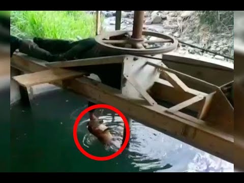 Policía rescata a perro de estanque con cianuro usado para extracción de oro | Noticias Caracol