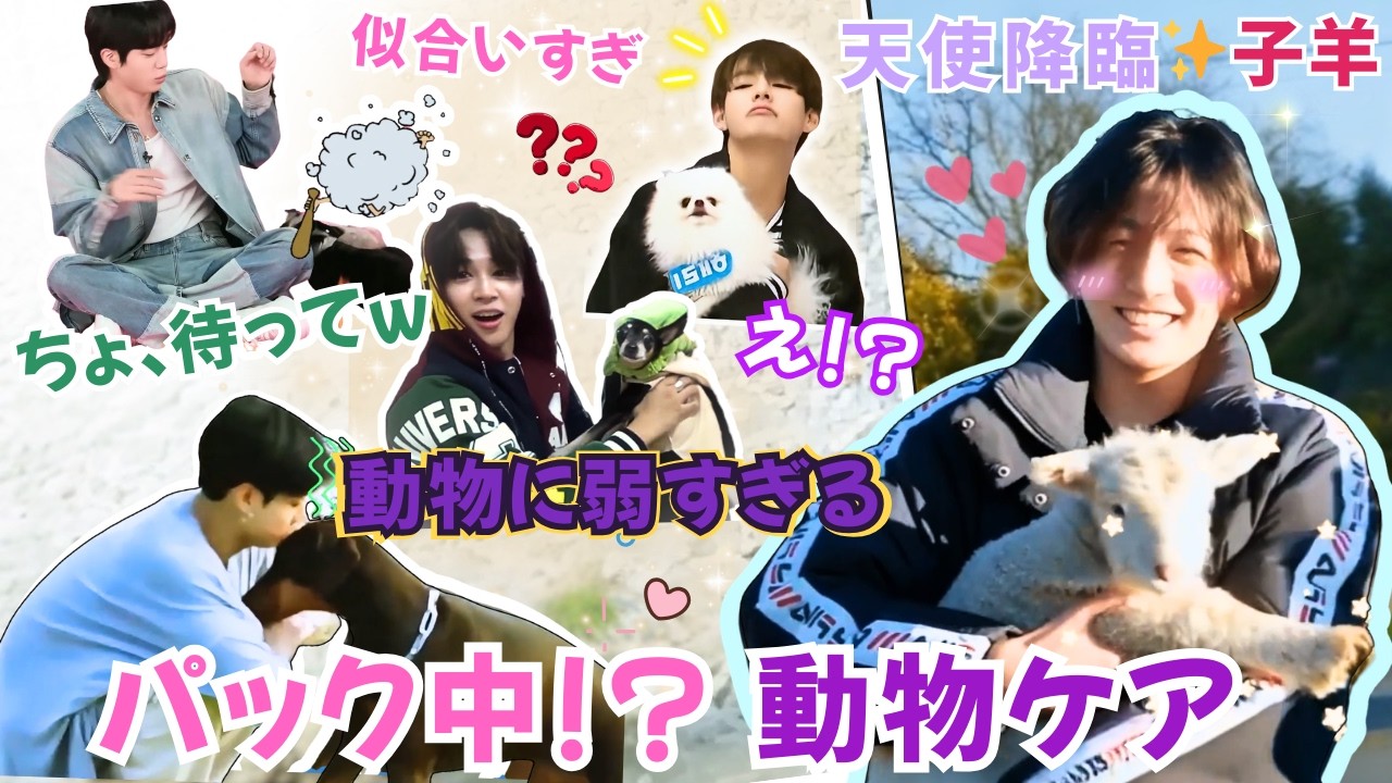 BTSと動物の癒しと爆笑シーン🐾💜