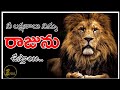 THE LION ATTITUDE VOICE OF TELUGU