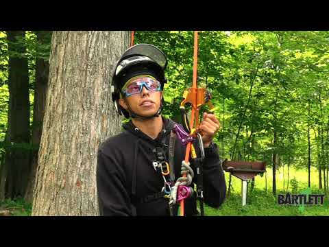 Frog Walker Ascent System