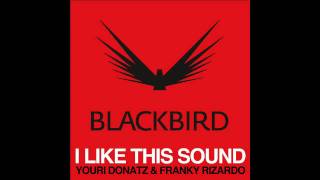 Youri Donatz & Franky Rizardo - I Like This Sound (Original Mix)