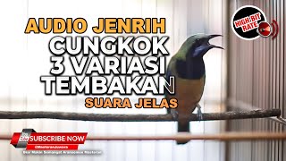Download lagu 🔴Masteran Cucak Cungkok Gacor Tembakan 3 Variasi ❗️Cungkok Gacor Jernih mp3 Download lagu 🔴Masteran Cucak Cungkok Gacor Tembakan 3 Variasi ❗️Cungkok Gacor Jernih mp3