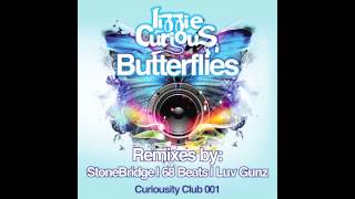 Lizzie Curious - Butterflies (StoneBridge radio edit)