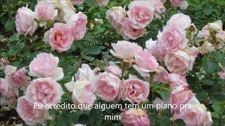 the front bottoms - plastic flowers (tradução)