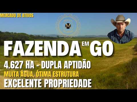 FAZENDA DE GADO 4.627 HÁ EM GOIÁS ÓTIMA ESTRUTURA MUITA ÁGUA DUPLA APTIDÃO - MercadodeAtivos