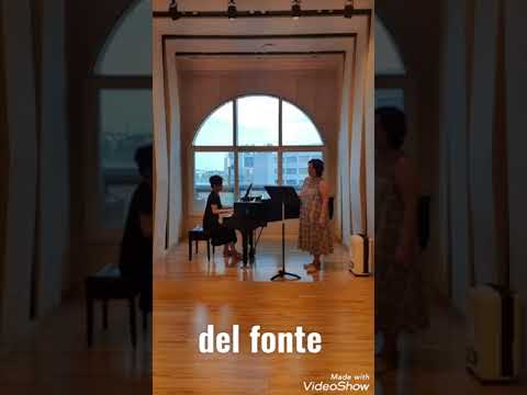 VACCAJ  !Lezione 8 (Lesson  8)   Senza l' amabile