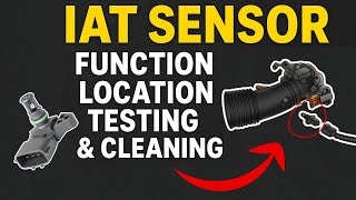 Intake Air Temperature Sensor IAT  Function, Location, Testing & Cleaning Explained