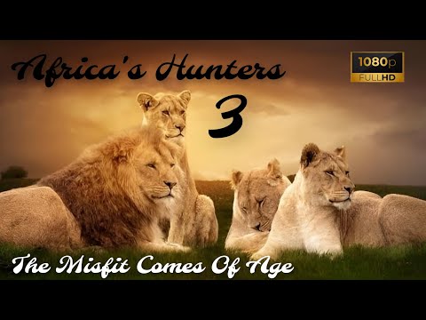🦁 Africa's Hunters: | The Misfit Comes of Age | Wildlife Documentary 🌱🦒