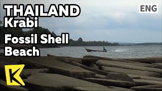 【K】Thailand Travel-Krabi[태국 여행-끄라비]조개화석해변/Krabi/Fossil Shell Beach