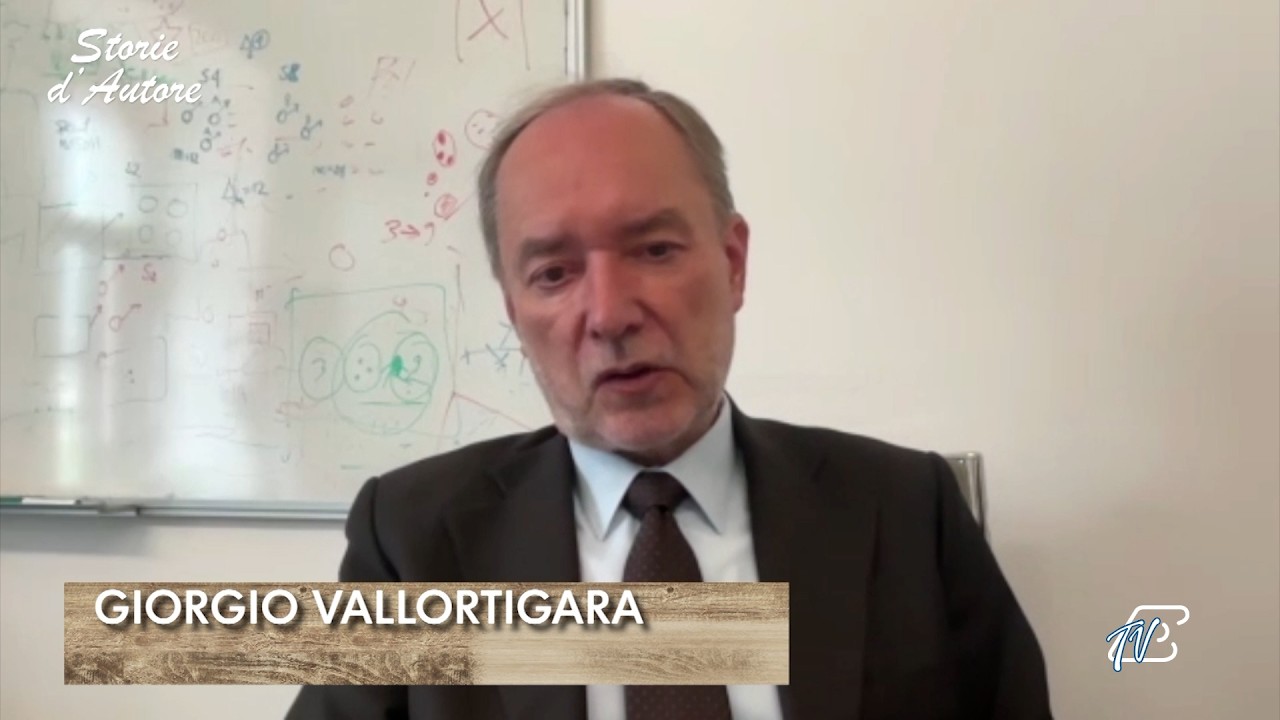 Ventiquattresima Puntata – Storie d’autore – 9 Maggio 2026