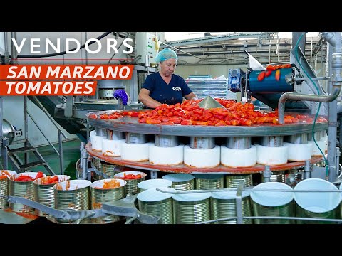 How a Tomato Factory Produces and Cans Over 2 Million Pounds a Year— Vendors