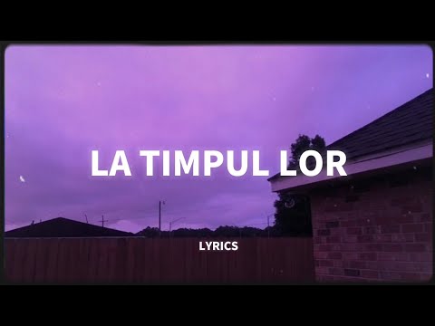 DJ Project feat. EMAA- La Timpul Lor // versuri