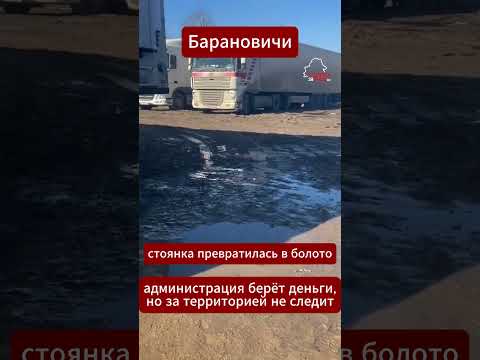 Платная стоянка в грязи! Дальнобойщик показал условия в Барановичах #барановичи #дальнобойщик