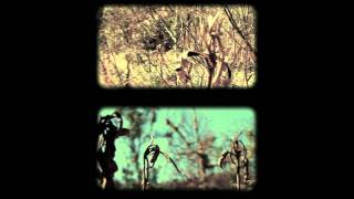 Trembling Blue Stars: All Our Tomorrows