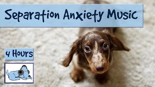Separation Anxiety in Dogs - This Music Will Help!