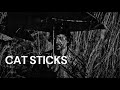 Cat Sticks 2019 BENGALI FULL MOVIE