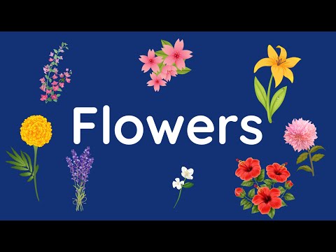 flowers name for kids | List of flowers name