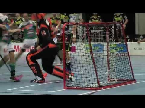SV Wiler Ersigen Tigers Langnau Cup 2015