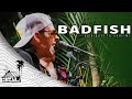 Badfish Doin Time Live Music Sugarshack Sessions