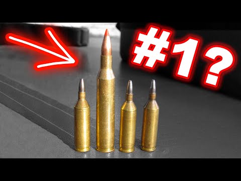 The Best Wildcat Ever? Season 2: Episode 6