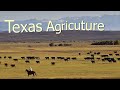 How Texas Farmers Use 127 Million Acres Of Farmland American Farming Documentary