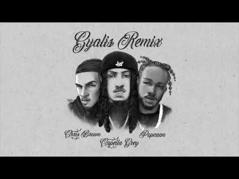 Capella Grey, Chris Brown & Popcaan - Gyalis Remix