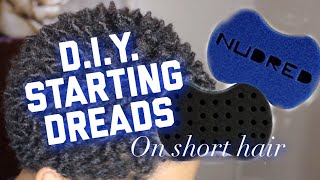 Starting Dreadlocks With A Hair Sponge | Dreads On SHORT Hair