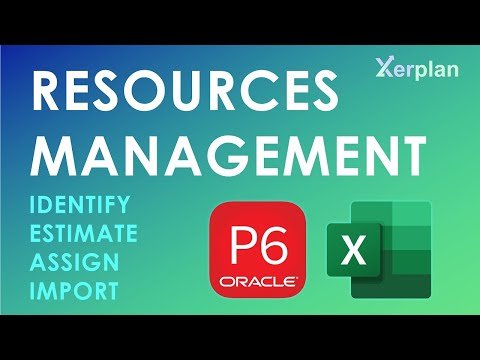 Resource Loading In Primavera P6