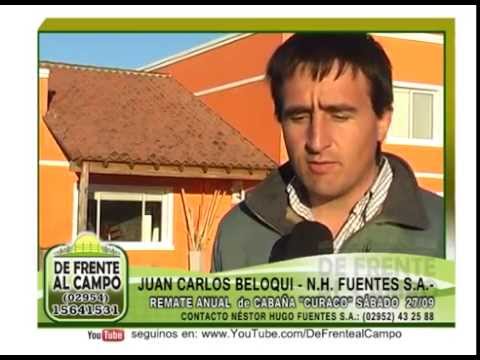 DE FRENTE AL CAMPO junto al 4° REMATE de CABAÑA "CURACO"