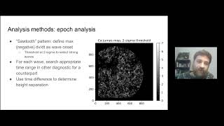 MAYA2023: Ryan Hofmann Acoustic Waves in ALMA: An Epoch Analysis