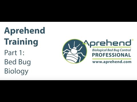Aprehend Training, Part 1: Bed Bug Biology