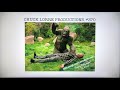 Chuck Lorre Productions 370 Warner Bros Television 2011