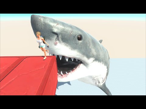 ARBS Megalodon Shark Attack vs Human Jumps/Fails | Animal Revolt Battle Simulator